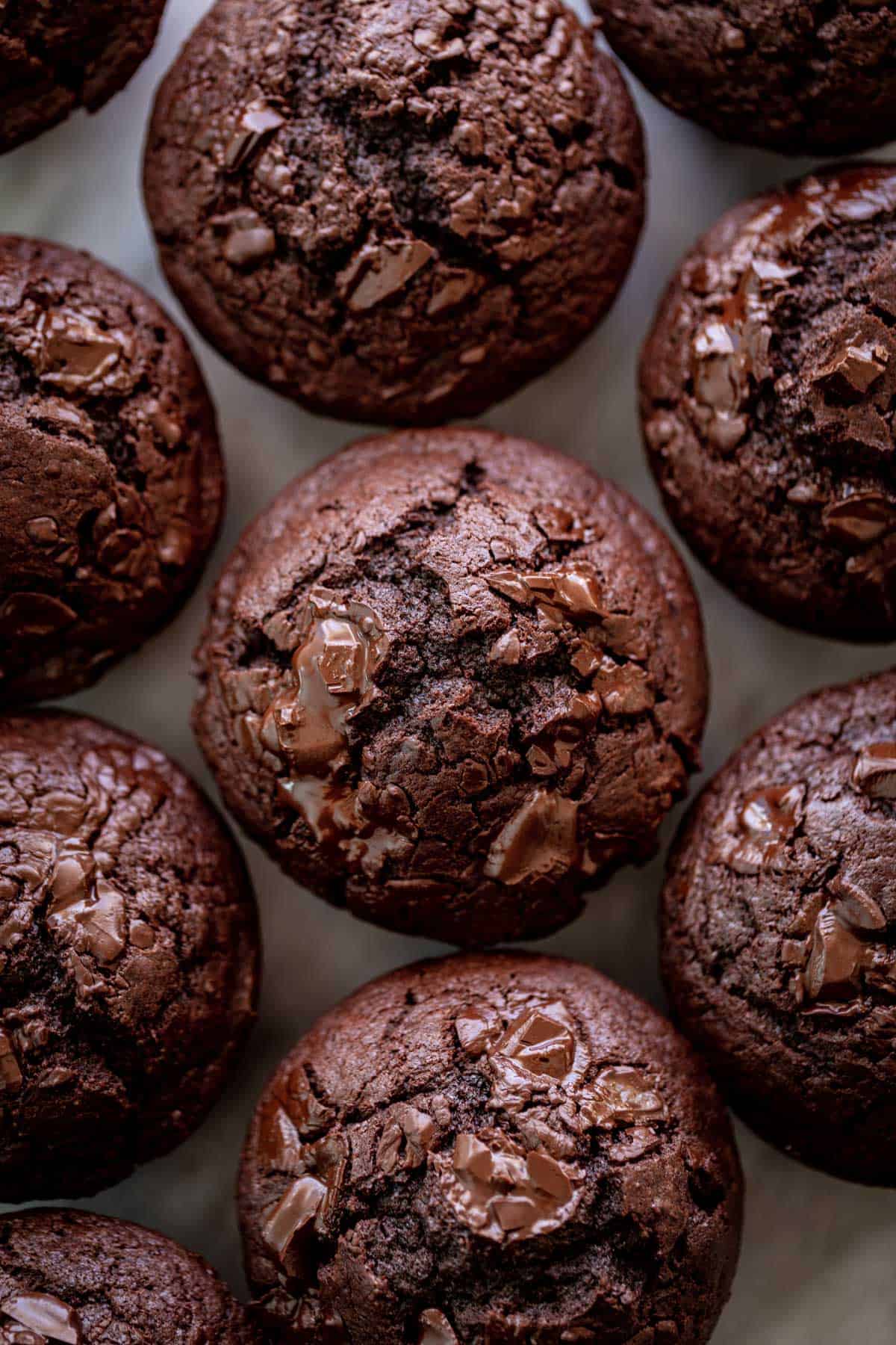 A batch of double chocolate chunk muffins.