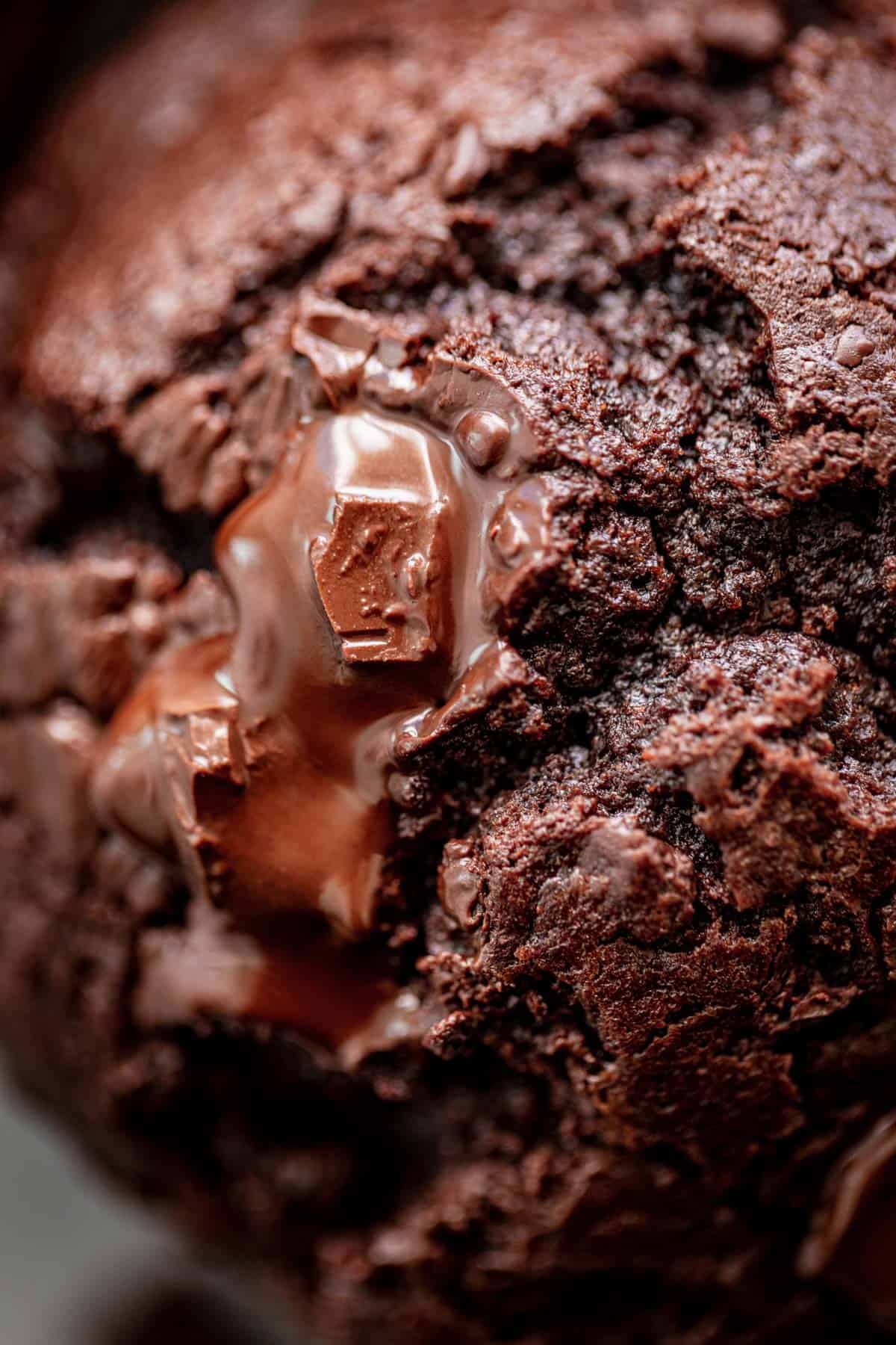 A close up photo of double chocolate muffins with melted chocolate on top. 