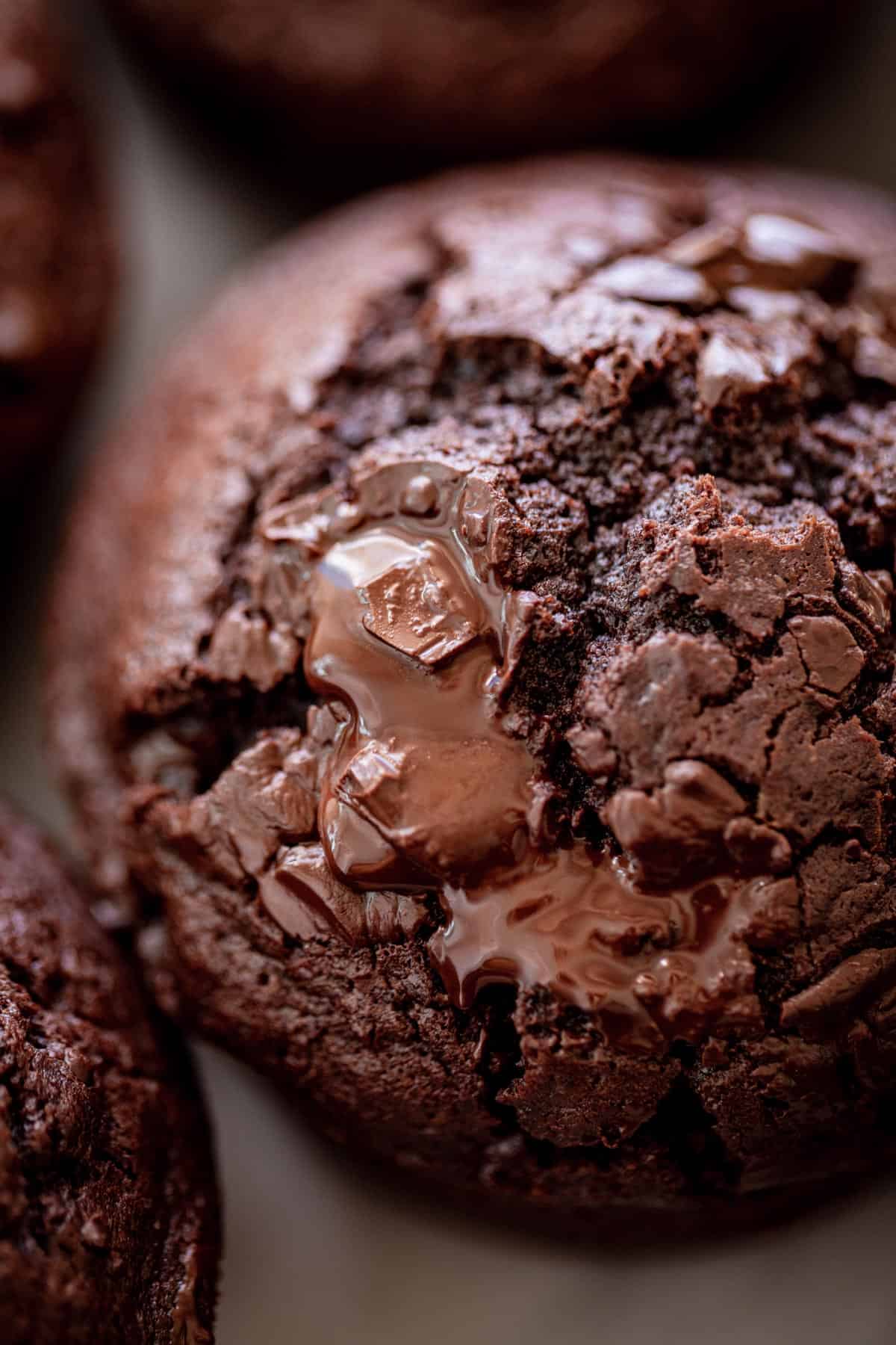 Double Chocolate Chunk Muffins | cafedelites.com