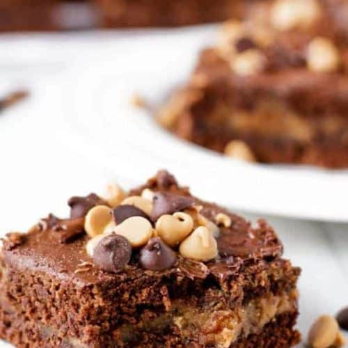 Peanut Butter Cup Brownies