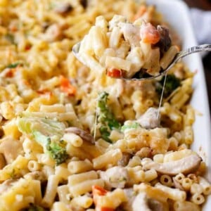 Creamy Chicken and Mushroom Macaroni Cheese Bake on a tray