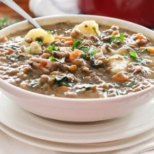 Warm Chicken Lentil Stew in a bowl