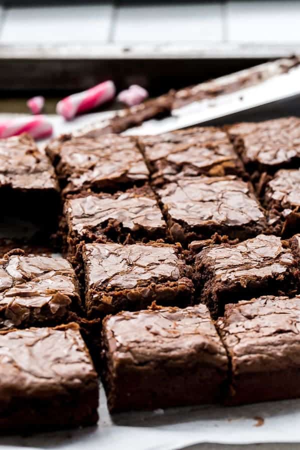  rich and decadent chocolate brownies that melt in your mouth  Candy Cane Fudge Brownies