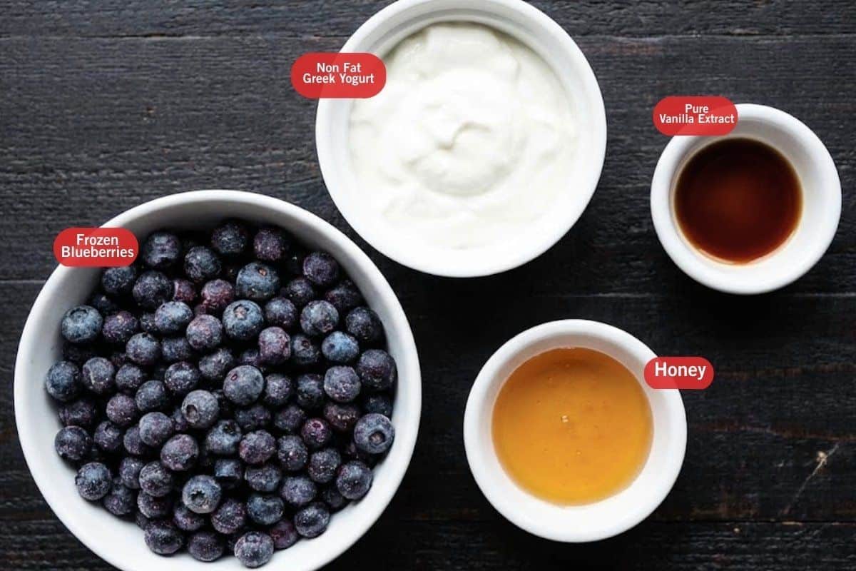 Flat lay photo of ingredient shot of frozen blueberries, non fat greek yogurt, pure vanilla extract, honey
