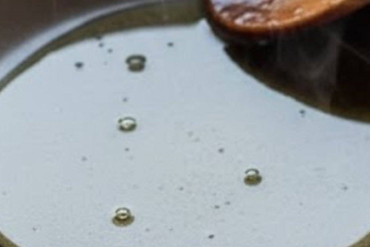 Warm the sesame oil in a large wok 