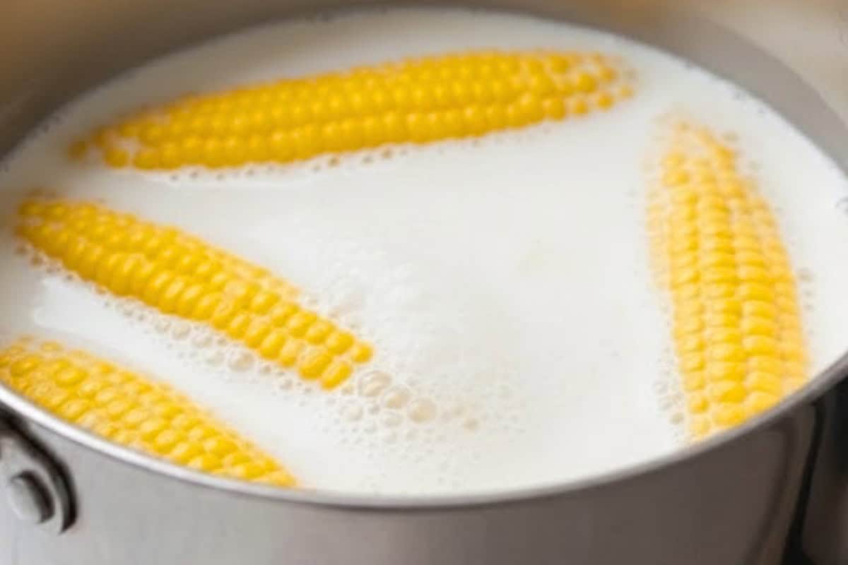In a large pot, combine the corn, milk, water, and salt. Bring to a gentle boil over medium heat.