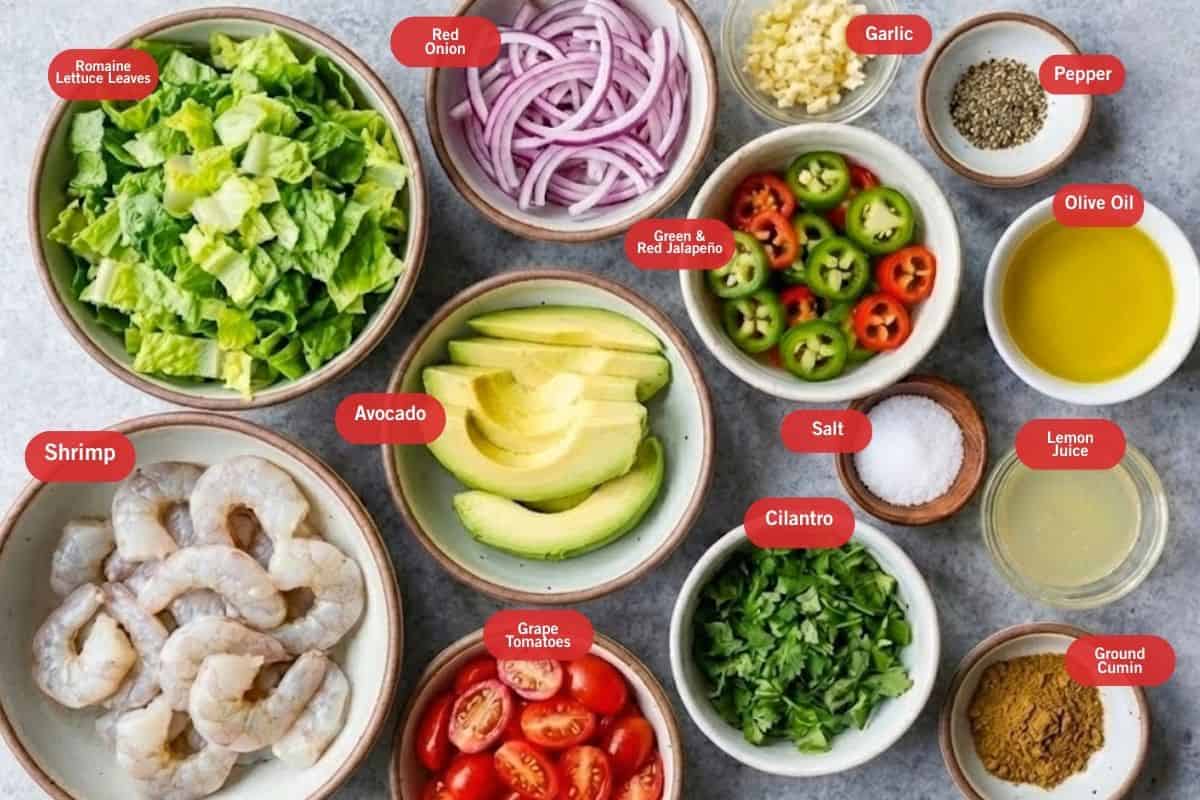 Flat lay photo of ingredient shot of romaine lettuce leaves, red onion, garlic, pepper, olive oil, lemon juice, green and red jalapeno, ground cumin, grape tomatoes, salt, grape tomatoes, shrimp, avocado, cilantro - 2