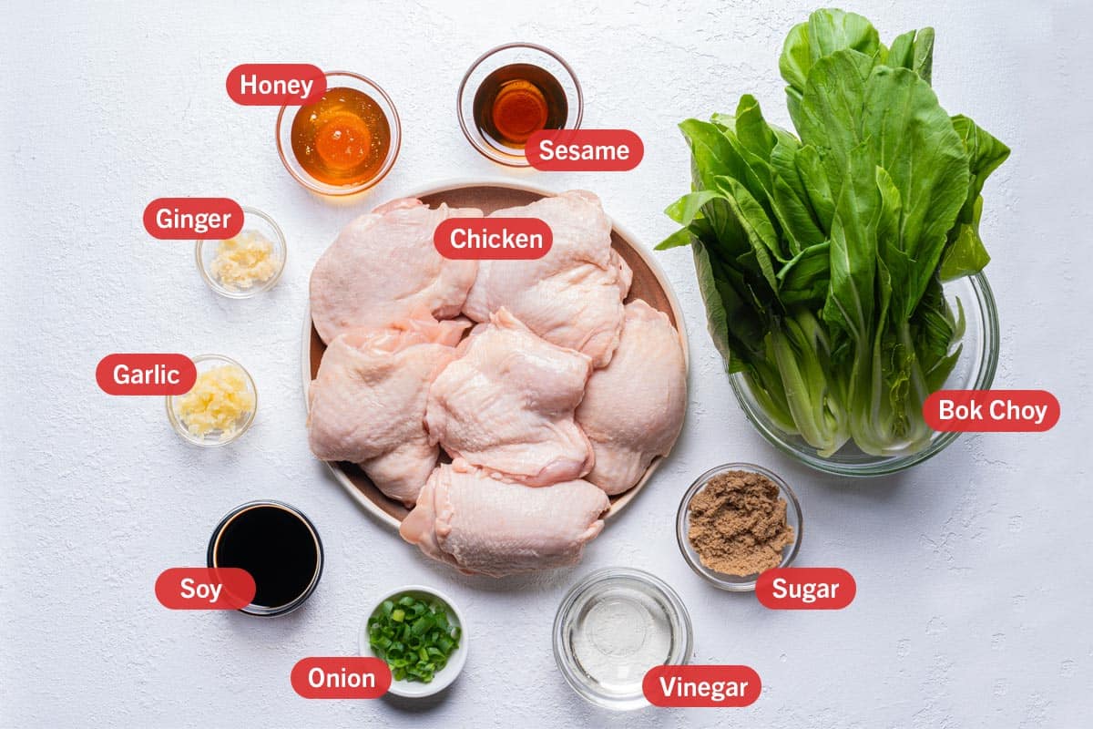 Ingredients laid out against a white background. chicken, honey, sesame, bok choy, sugar, vinegar, onion, soy, garlic, ginger, 