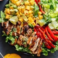 Cilantro Lime Chicken Salad + Mango Avocado Salsa