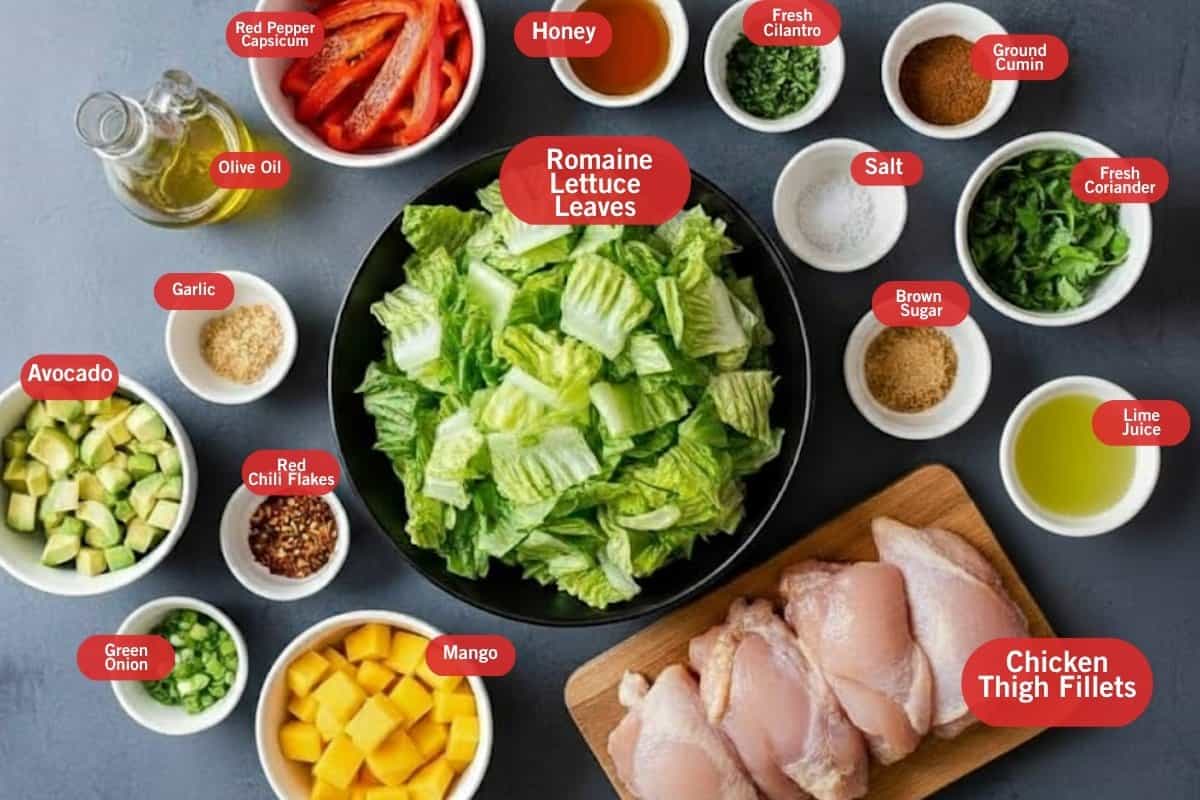 Flat lay of ingredient shot of red pepper capsicum, olive oil, garlic, avocado, red chili flakes, green onion, mango, chicken thigh fillets, lemon juice, brown sugar, salt, fresh coriander, ground cumin, fresh cilantro, romaine lettuce, leaves, honey 