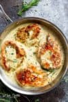 Quick And Easy Creamy Herb Chicken, filled with so much flavour, ready and on your table in 15 minutes! You won't believe how easy this is! | http://cafedelites.com