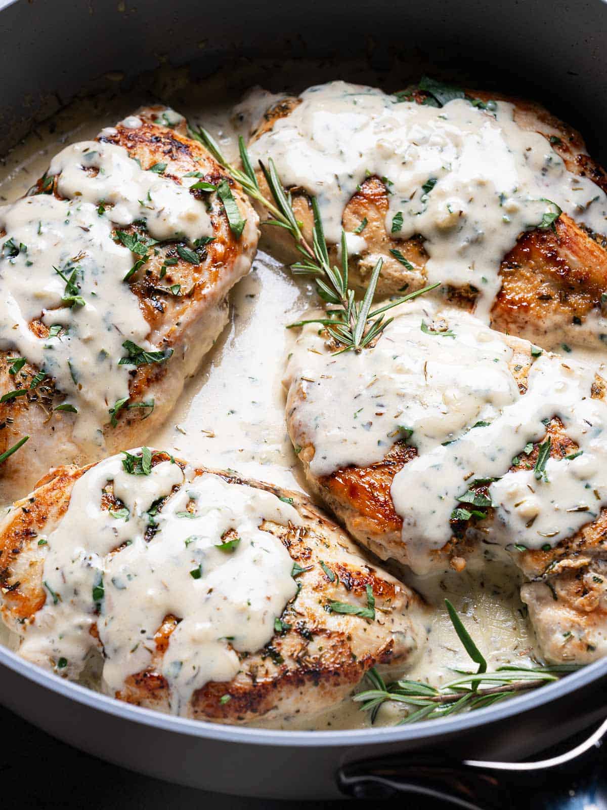 Top view image of creamy chicken with herbs in a delicious, velvety sauce.