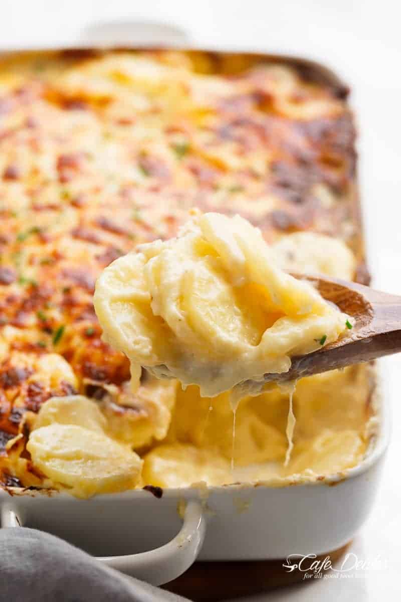 Creamy Scalloped Potatoes + Video