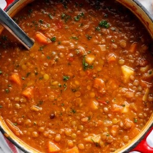 The BEST lentil soup recipe is naturally thick and loaded with healthy veggies!
