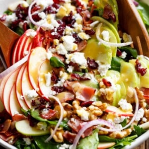 Top view of Honey Dijon Apple Bacon Cranberry Salad