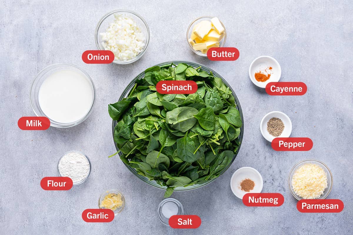 white background with ingredirents laid out, onion, butter, cayenne, milk, spinach, pepper, flour, garlic, salt, nutmeg, parmesan