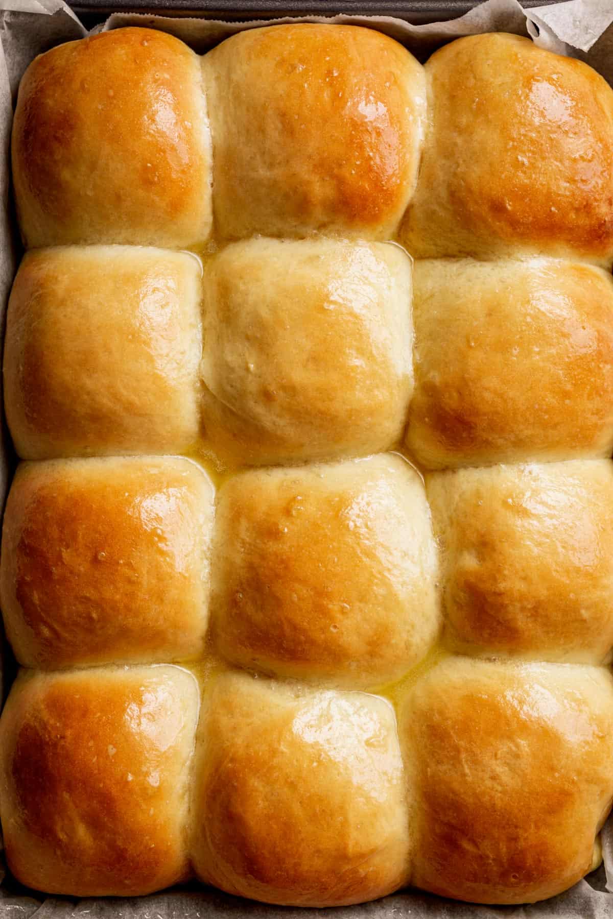 Easy Soft Dinner Rolls is a simple recipe! No mixer needed, hardly ANY kneading, PLUS NO EGGS! Fluffy, soft and perfect dinner rolls!
