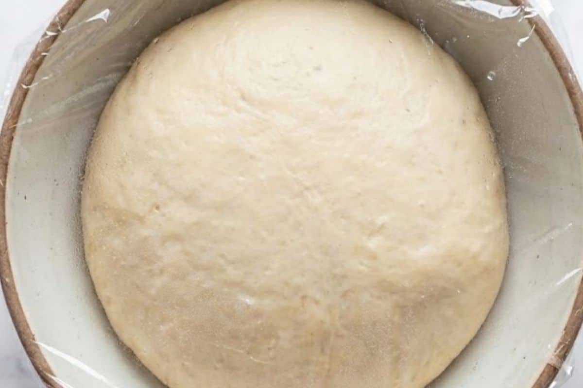 Return the dough to the bowl, cover with plastic wrap