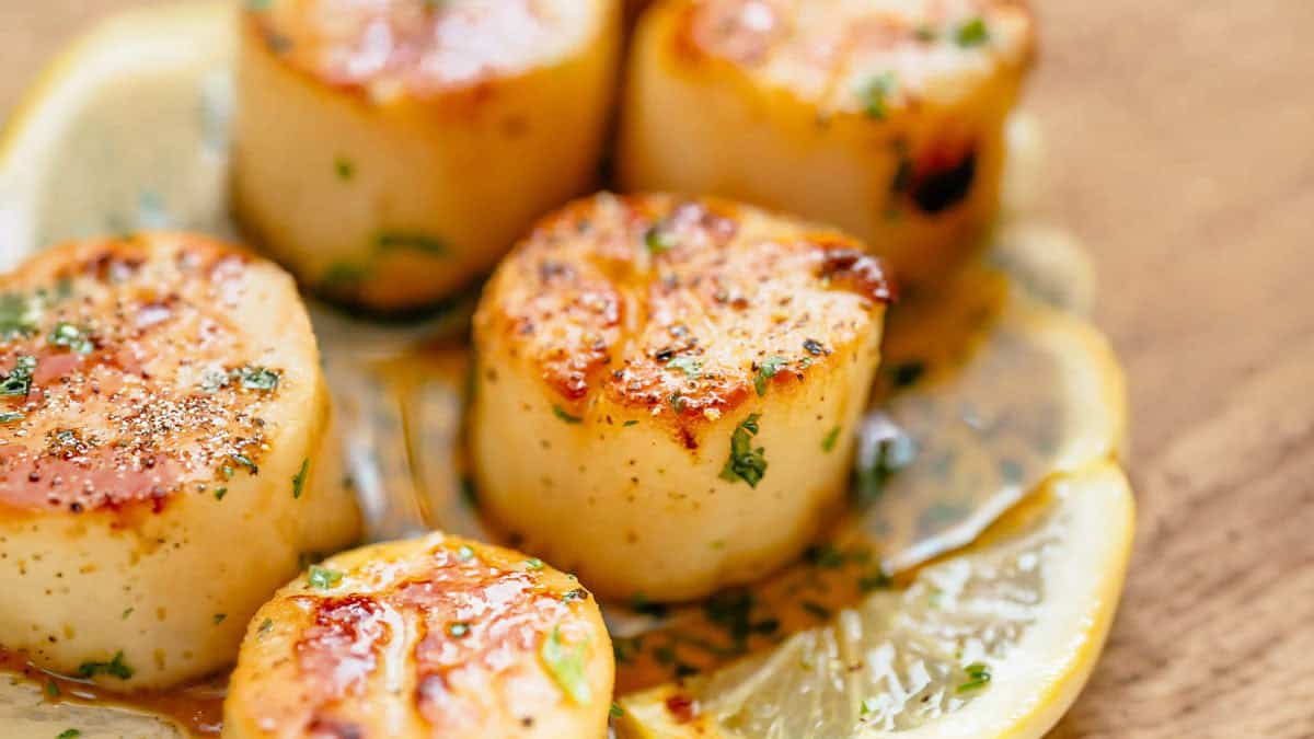 close up scallops