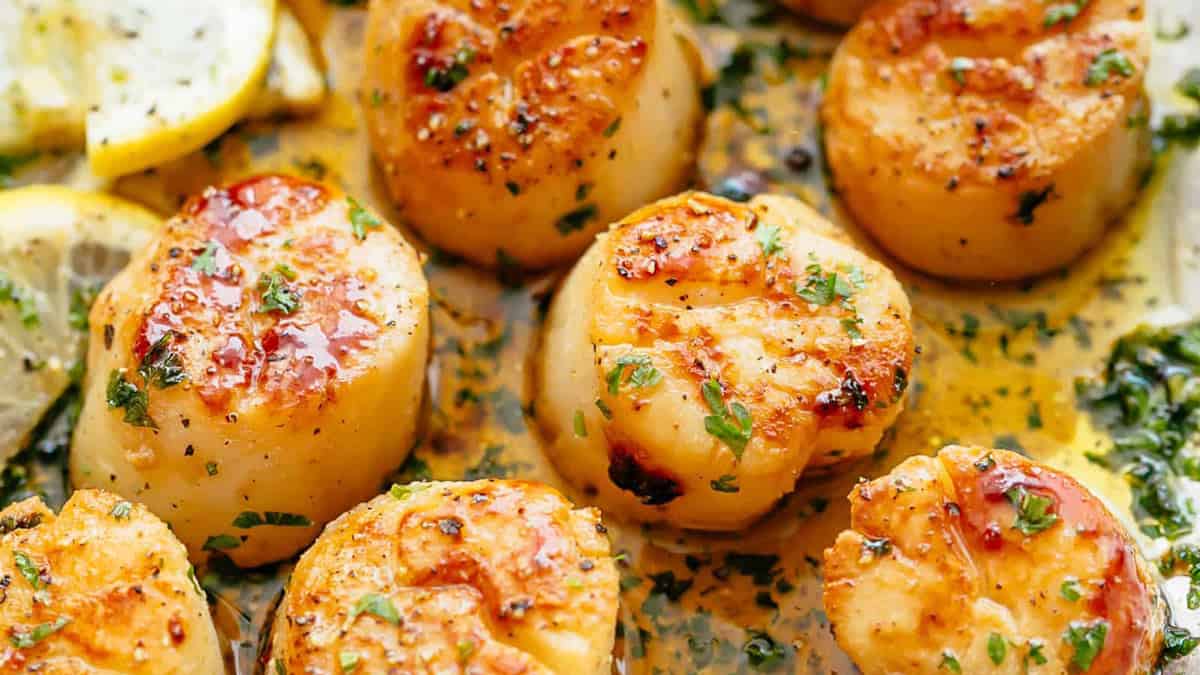 scallops close up