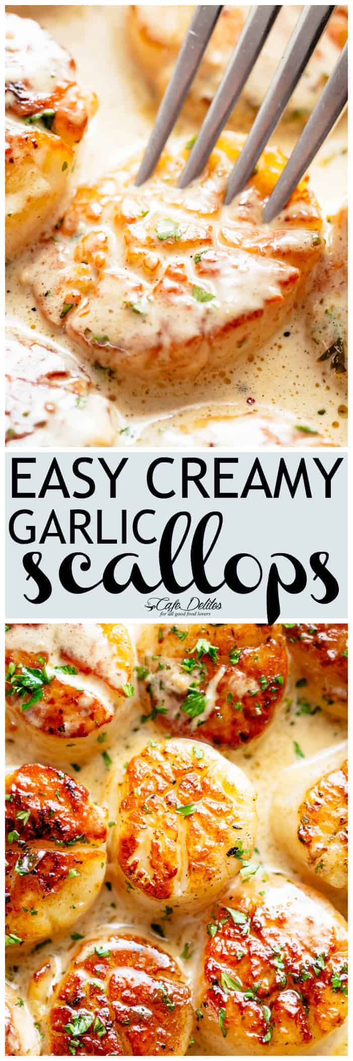 Creamy Garlic Scallops - Cafe Delites