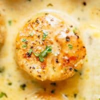Creamy Garlic Scallops are just as good as restaurant scallops with minimal ingredients and maximum flavour! A silky, creamy garlic sauce with a hint of lemon coats crispy, buttery scallops! With only a handful of ingredients, you're minutes away from having the most incredible scallops on your dinner table! | cafedelites.com