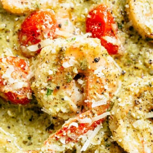 Creamy Pesto Shrimp Alfredo with parmesan cheese and blistered tomatoes is the shrimp reci Creamy Pesto Shrimp Alfredo