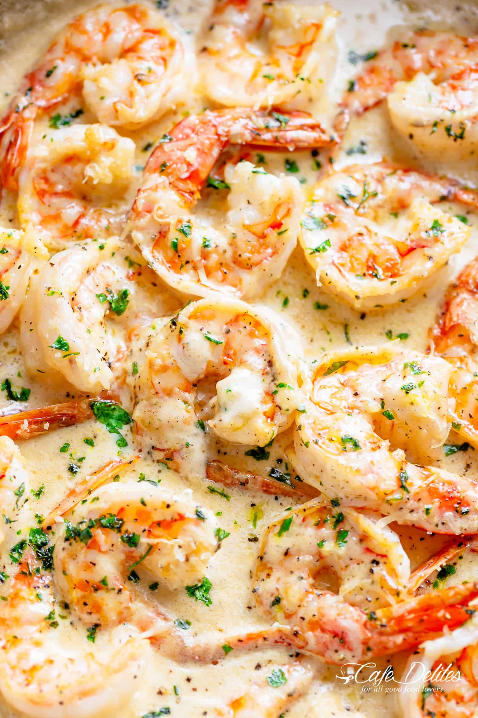 Creamy Garlic Shrimp With Parmesan on herkullisen helppo katkarapuresepti! Kuorrutettuna maalaismaisella ja voilla maustetulla kastikkeella, joka valmistuu alle 10 minuutissa, ihmiset luulevat, että keittiössäsi on piilokokki! Muunna ainekset, joita sinulla todennäköisesti jo on jääkaapissasi, uskomattomaksi illalliseksi! | cafedelites.com