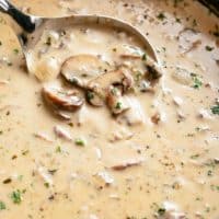 Homemade Cream of Mushroom Soup with spoon