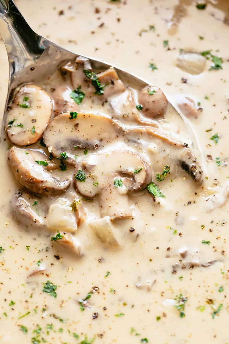 Mushroom Soup ready and on your table in minutes