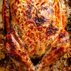 Front view image of Whole golden brown roast Turkey in a roasting pan