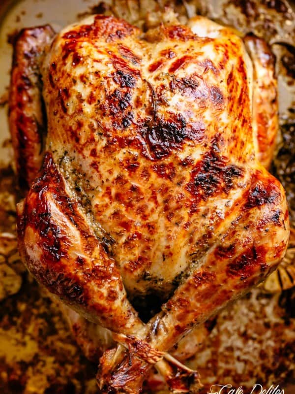 Front view image of Whole golden brown roast Turkey in a roasting pan