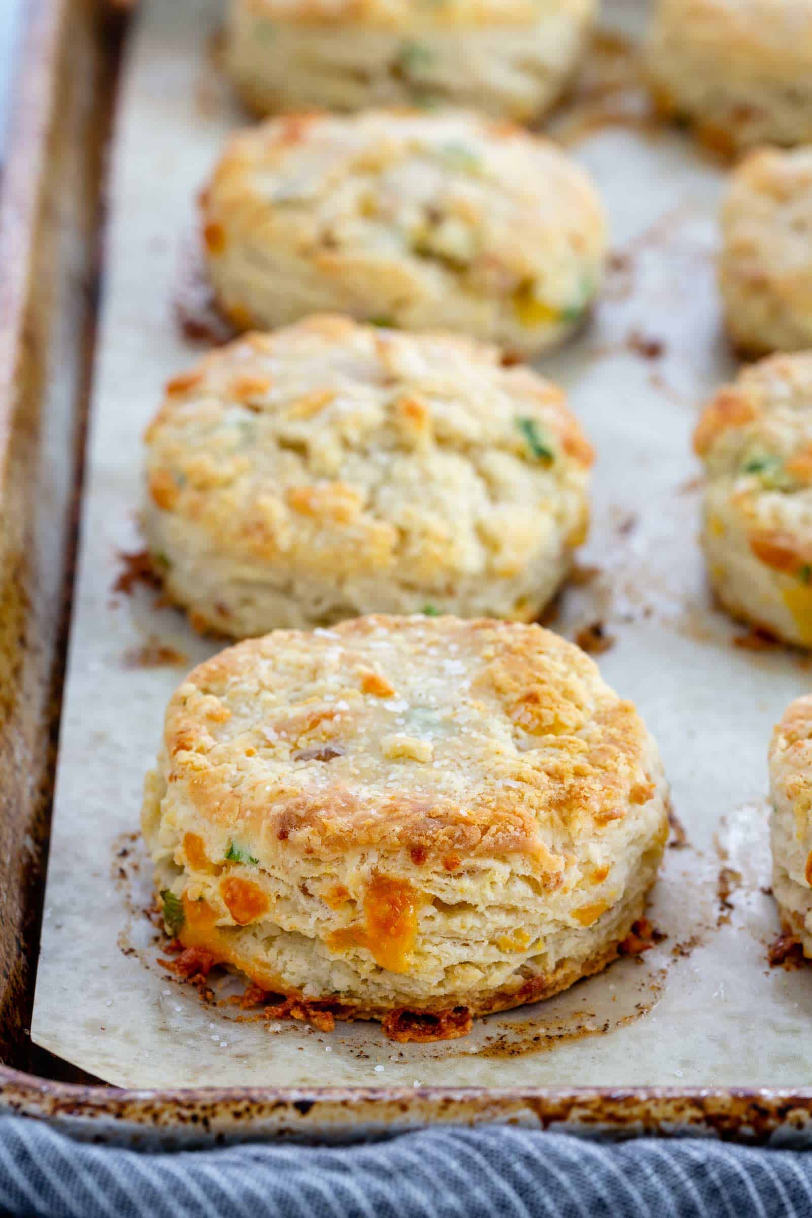 savory biscuits on a sheet tray straight out of the oven