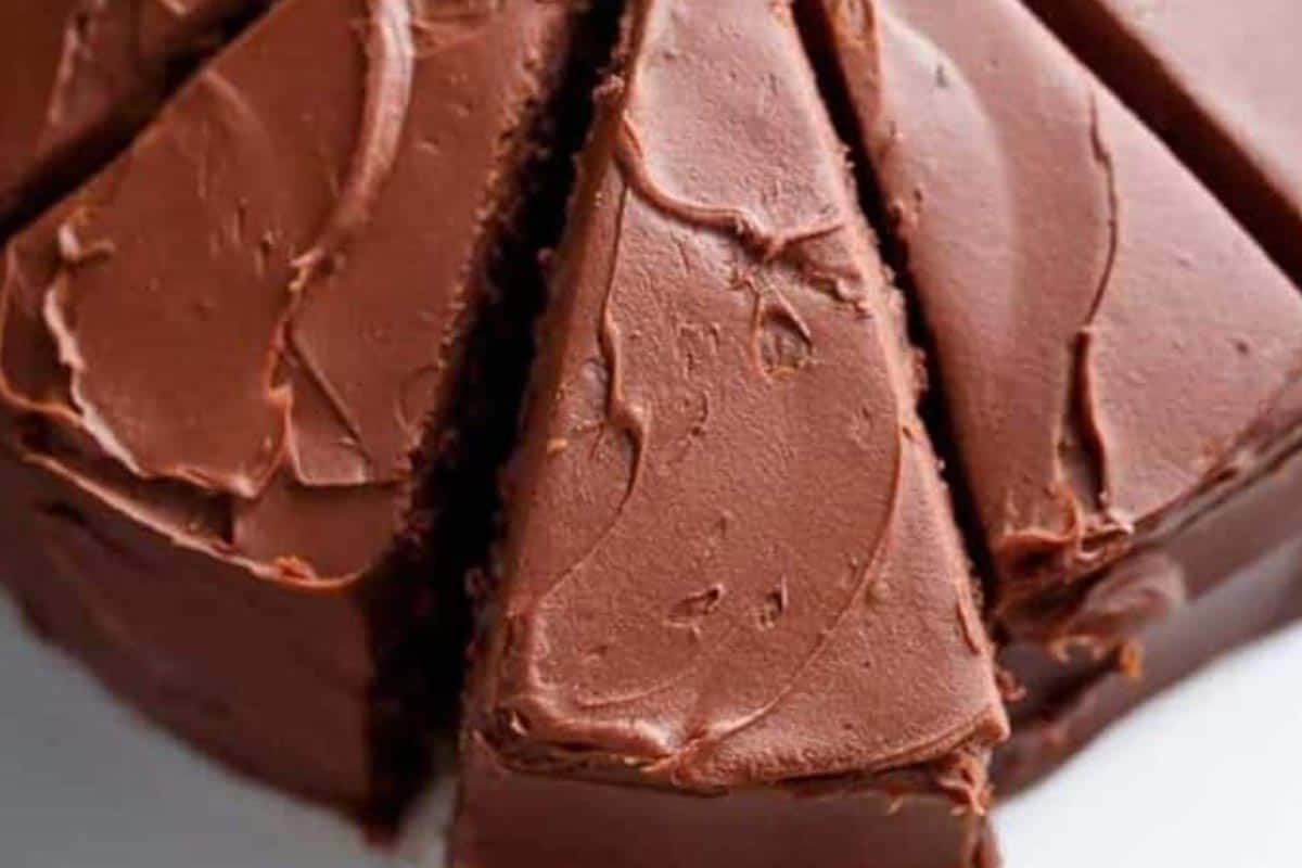 Close-up shot of Best Fudgy Chocolate Cake.