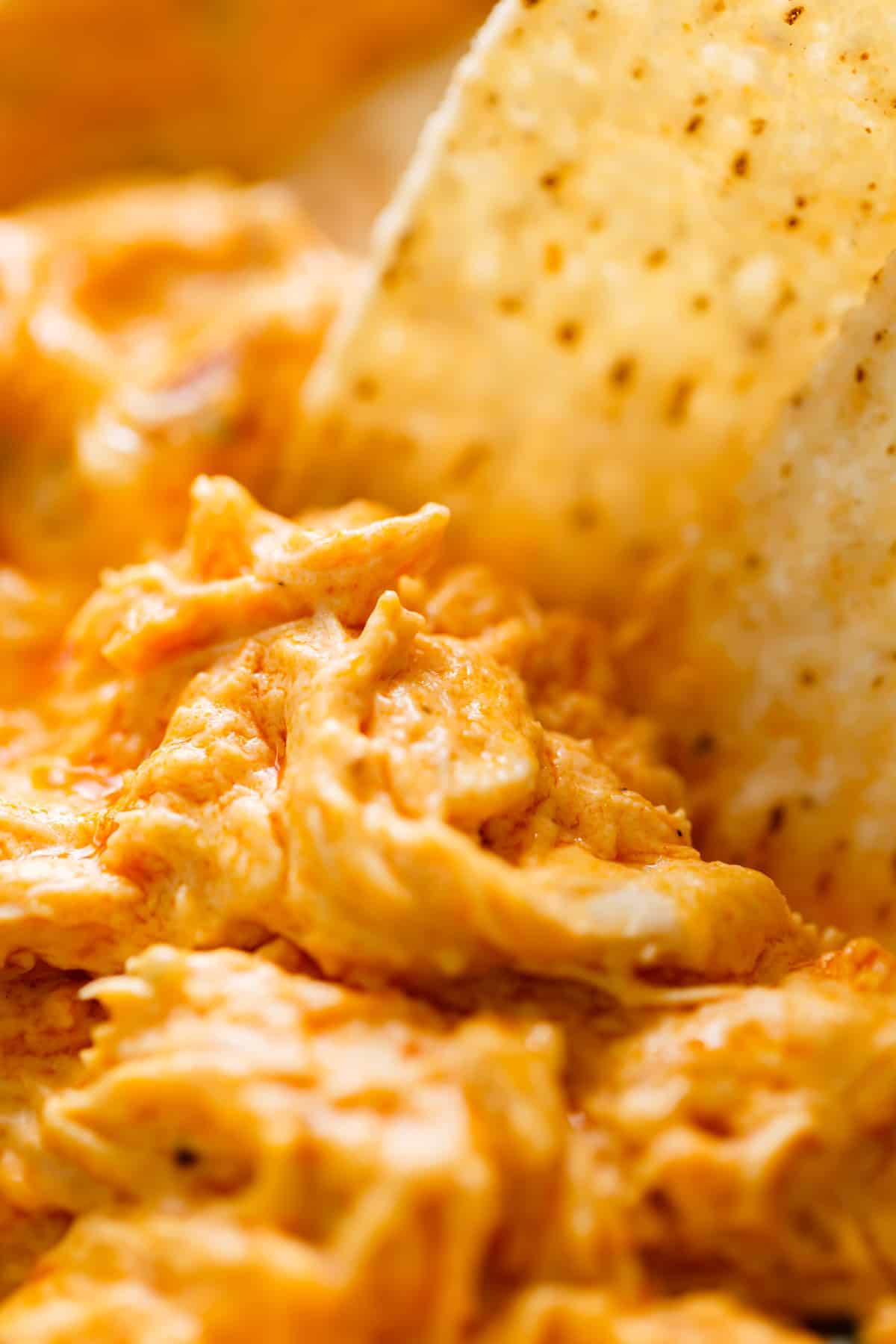 Buffalo Chicken Dip - Cafe Delites