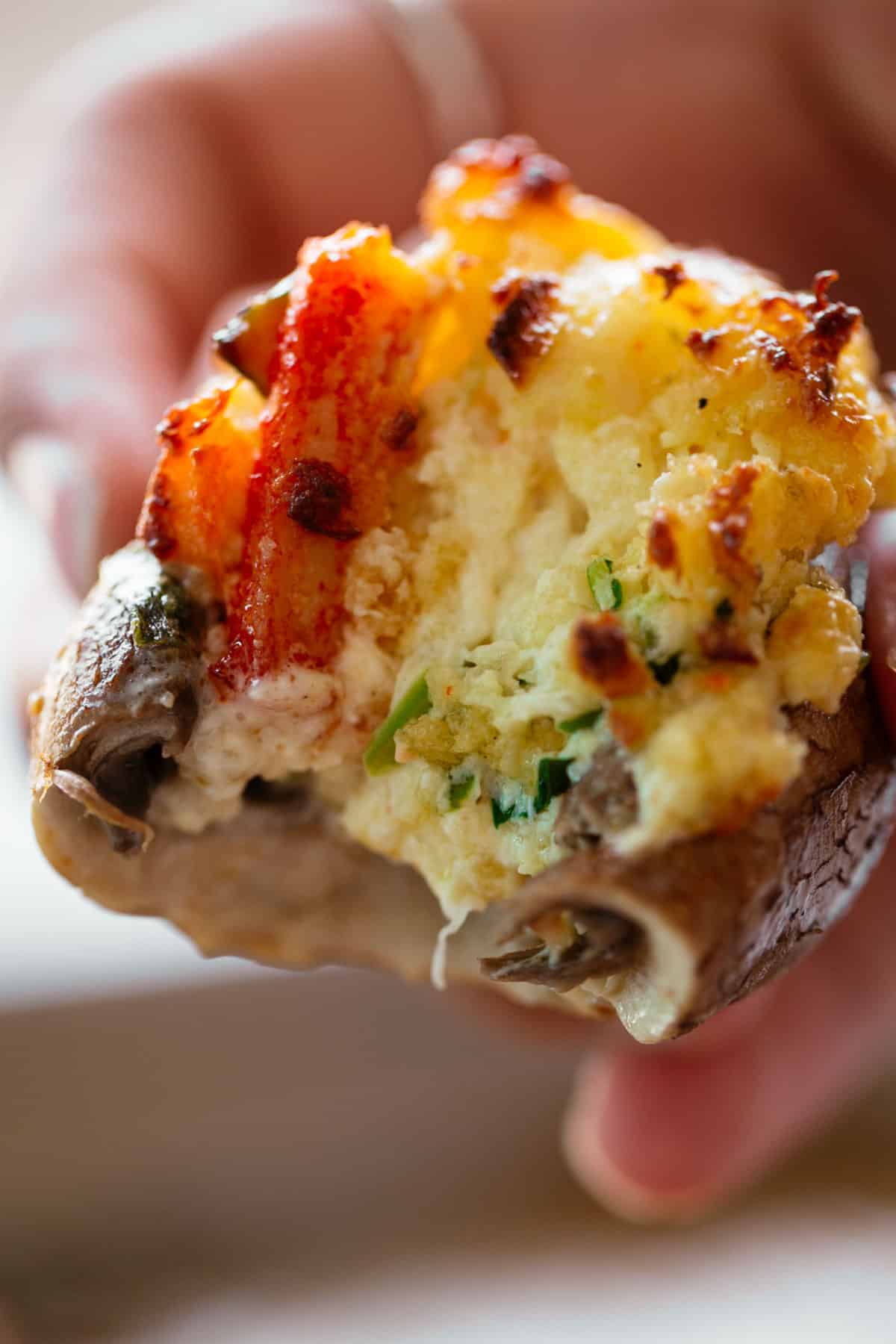 The best Crab Stuffed Mushrooms with mayonnaise, cream cheese and parmesan cheese #stuffedmushrooms #mushrooms #mushroomrecipe