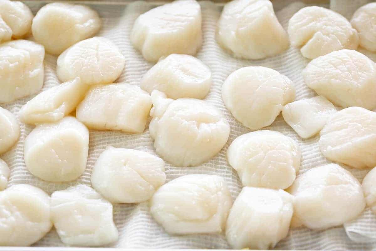 How to thaw frozen scallops on paper towel #thawscallops