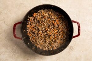 Cooked Beef ready to mix
