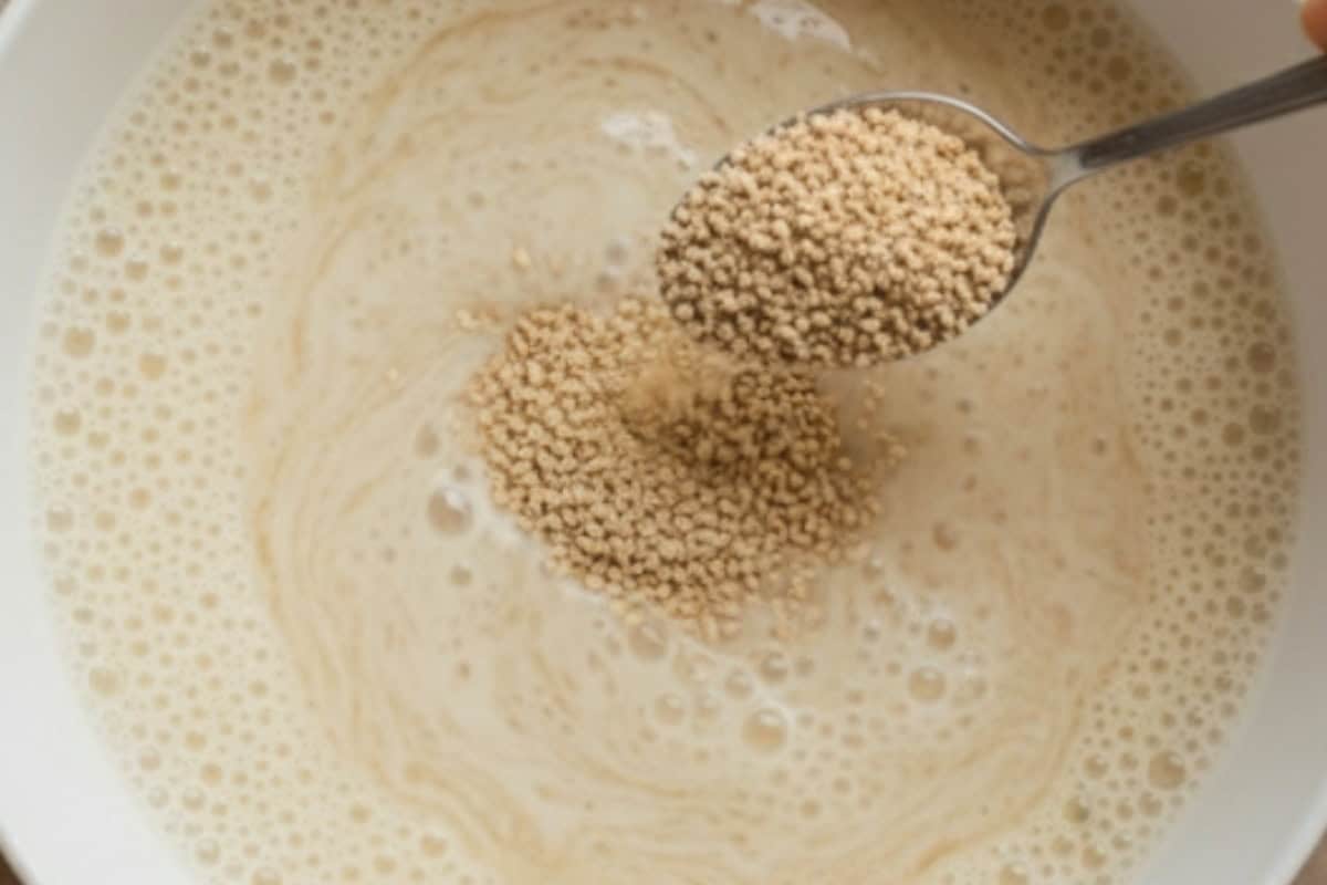 Warm the milk with butter and stir in instant yeast.