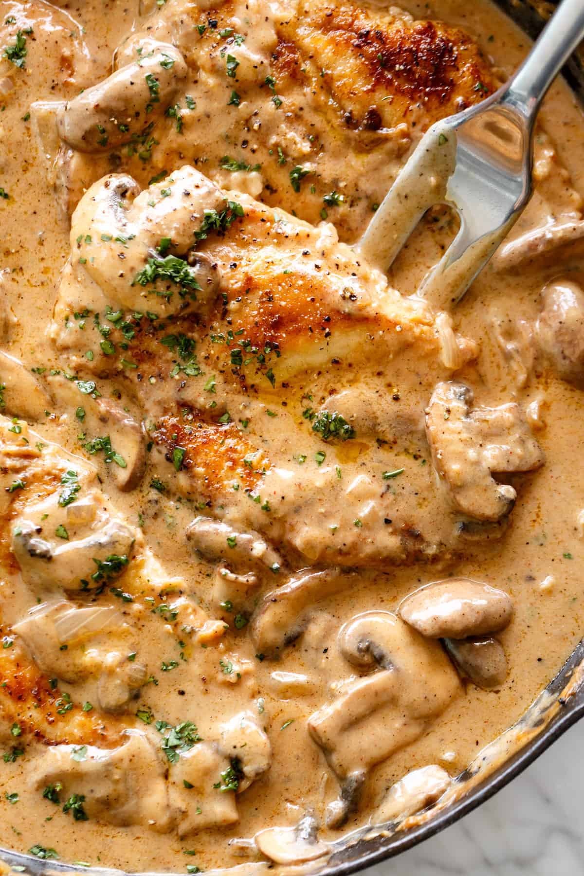 Chicken Stroganoff - Cafe Delites