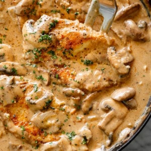 Chicken Stroganoff in a bowl
