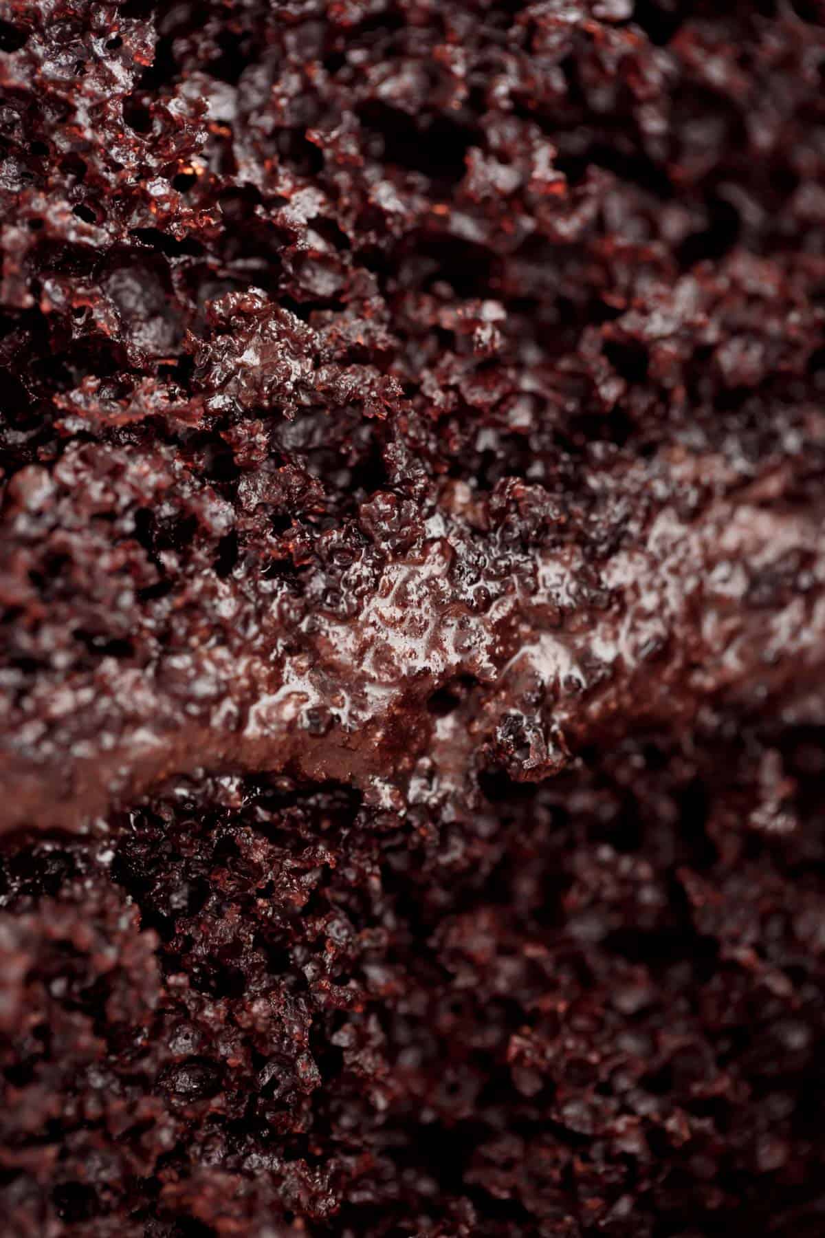 A close up view of baked, moist cocoa crumb.