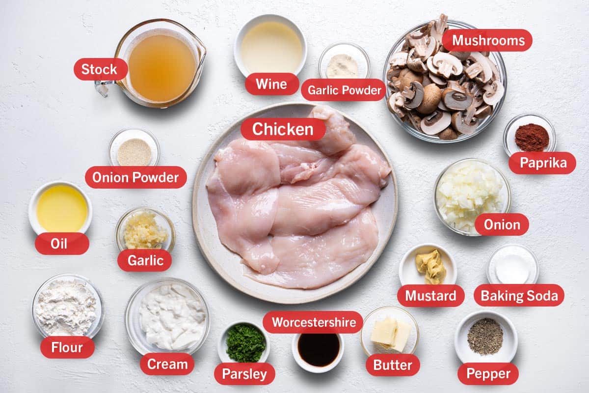ingredients from a top down angle against a white background.