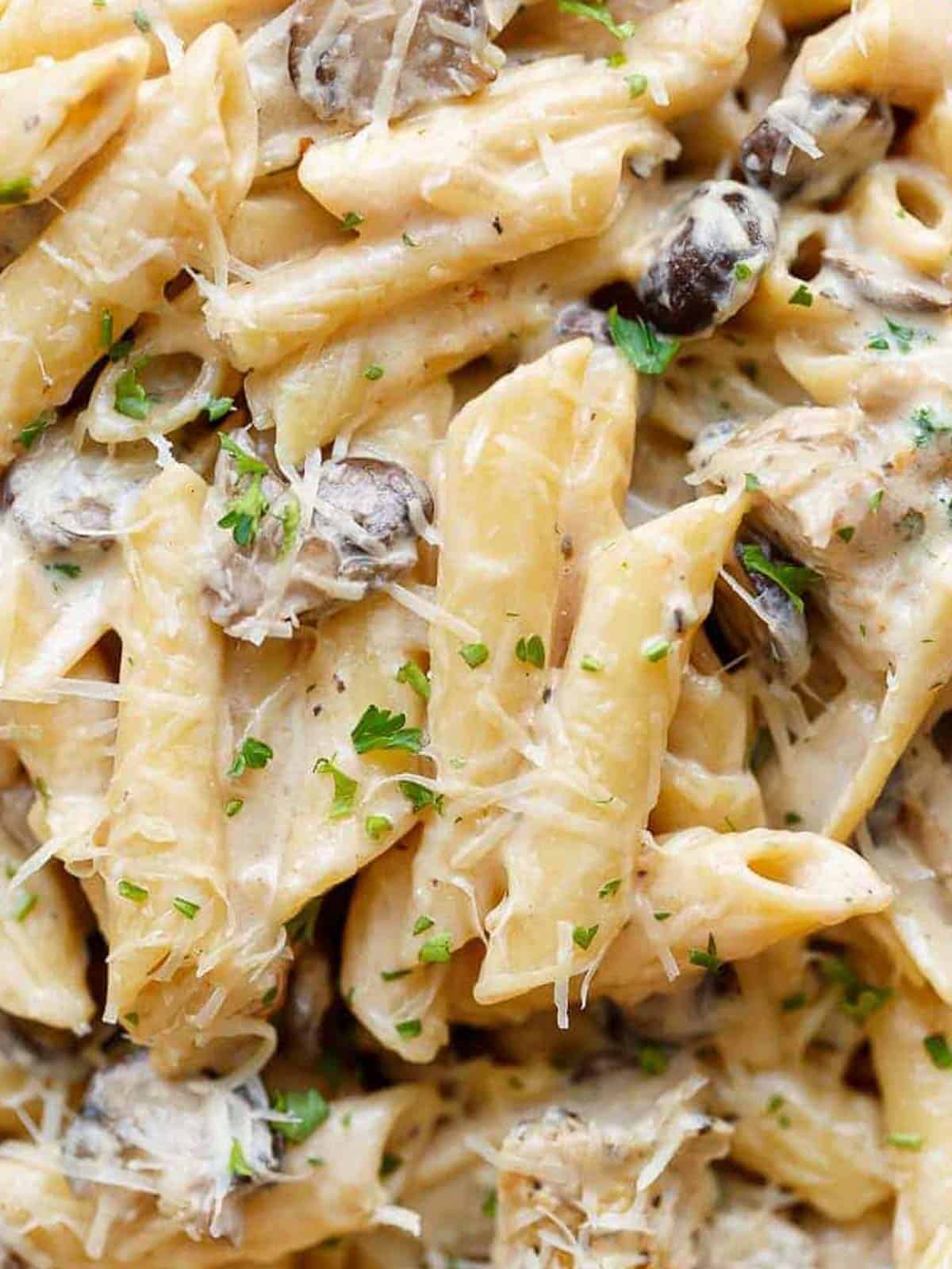super close up of creamy mushroom chicken pasta
