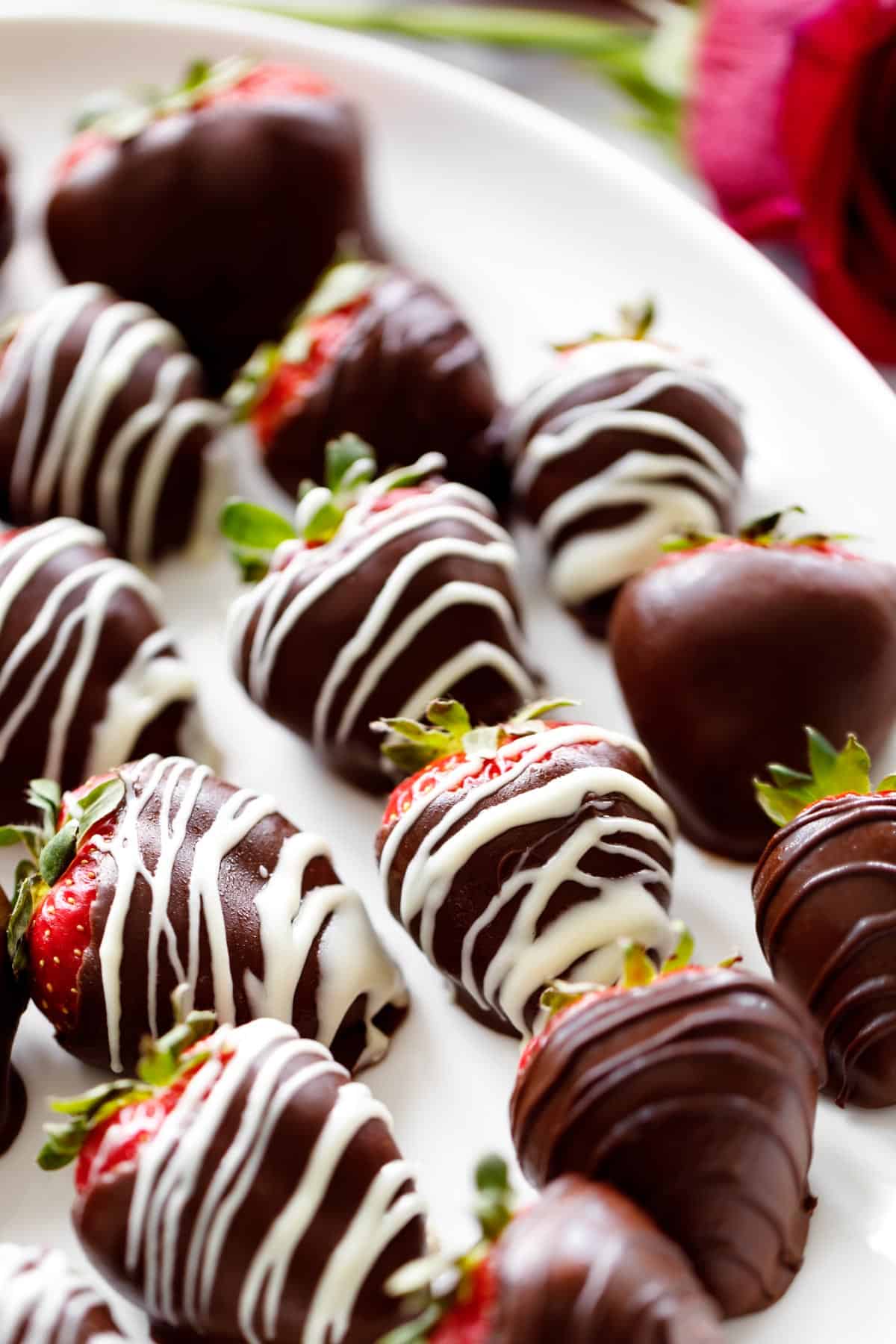 A white plate full of alcohol infused Chocolate Covered Strawberries. A rose sits behind the plate for romantic decoration. | cafedelites.com