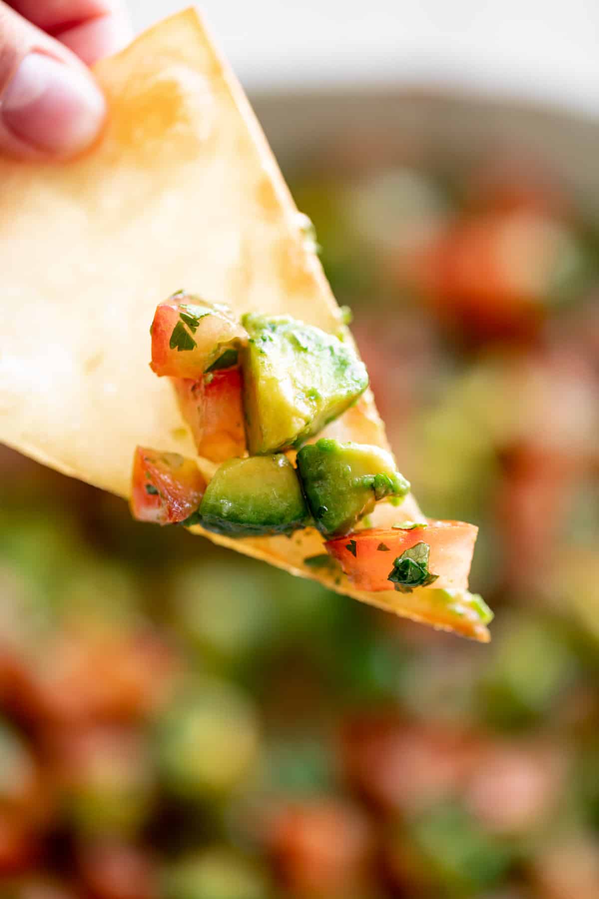 A fried tortilla chip with avo and tomato on it. 