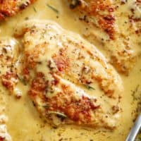 A close up of one chicken breast in a French style Dijon cream sauce