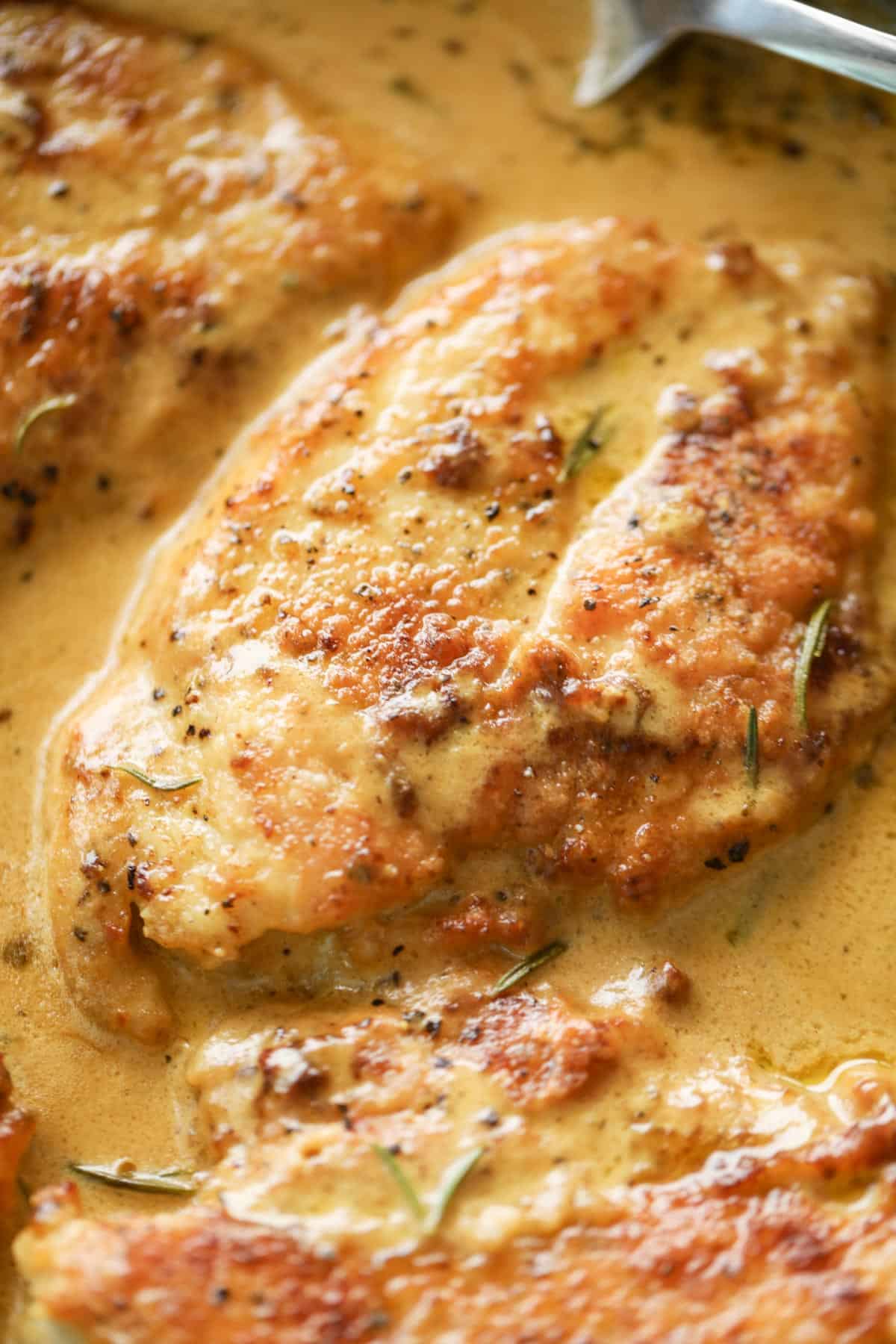 A close up of one chicken breast in a French style Dijon cream sauce.