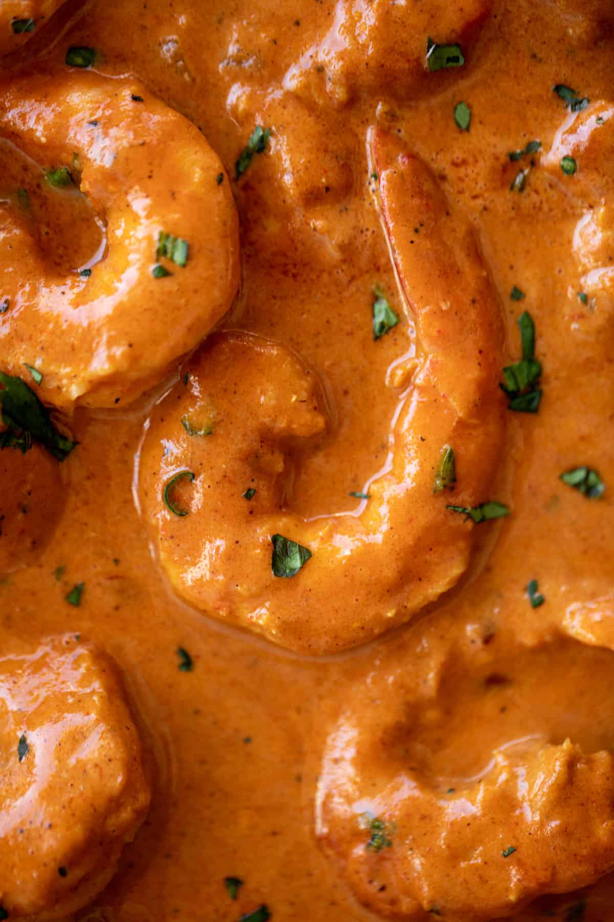 Close up of the best shrimp curry simmering in a coconut curry sauce garnished with fresh chopped cilantro. | cafedelites.com