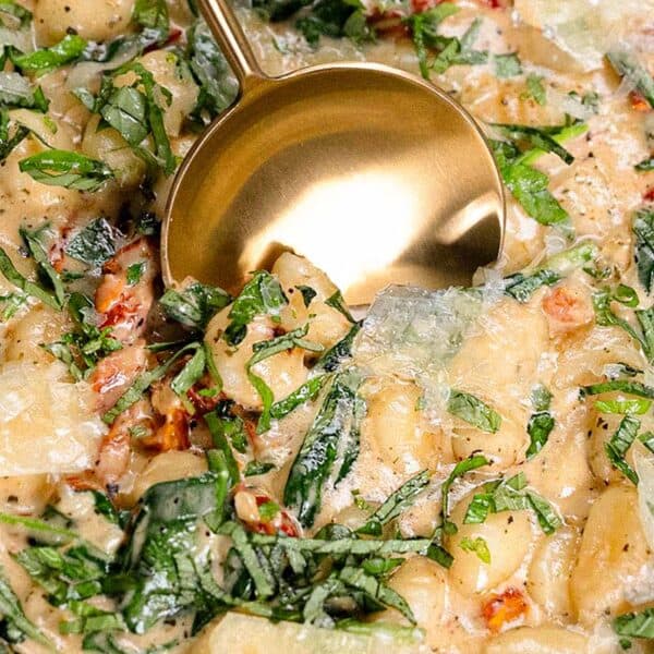 A close up image of creamy gnocchi.
